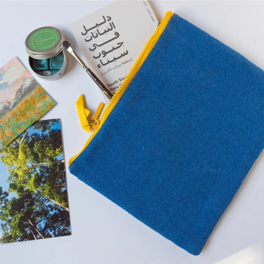 Blue Transparent Pouch